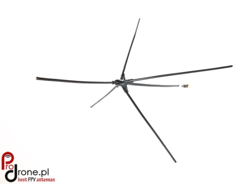 gp_435-2.jpg